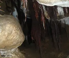 Photographie de GEGANT, COVA DEL (7 sur 9)