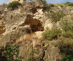 Fotografia de CASTELL, COVA B DEL (1 de 2)