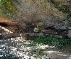 Fotografia de FORESOS, COVA DELS (1 de 13)