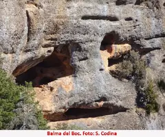 Fotografía de BOC, BALMA DEL (4 de 5)