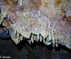 Fotografía de BONICA, COVA (7 de 11)