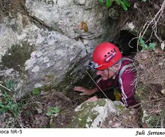 Fotografia de NR-4-5-6, AVENCS (7 de 9)