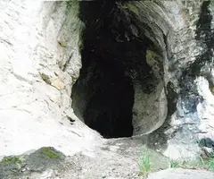 Fotografía de NEGRE DE PUIGANTIC, FORAT (1 de 1)