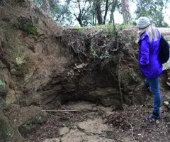 Fotografía de PONTET,  COVA DEL (2 de 2)