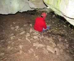Fotografia de PINASSA, COVA DE LA (3 de 4)