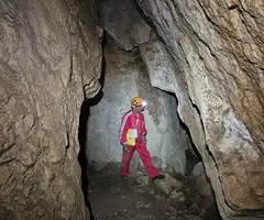 Fotografia de MATA, COVA D'EN (6 de 13)