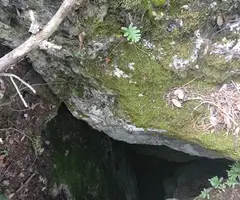 Fotografia de MAS DEL DINERAL, AVENC DEL (2 de 2)