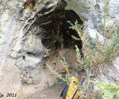 Fotografía de OLOPTE, COVA GRAN D' (7 de 7)