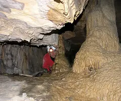 Photograph of TEIXIDORS, BORA DELS (4 of 8)