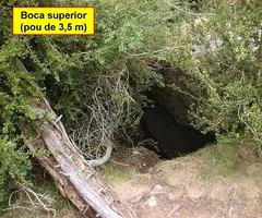 Fotografia de COMTE ARNAU, COVA DEL (2 de 5)