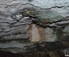 Fotografía de CATIVERA, COVA (4 de 4)