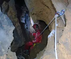 Fotografia de PEIXET, COVA D'EN (29 de 35)