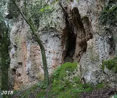 Fotografía de AVELLANER, COVA DE L' (2 de 2)