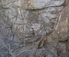 Fotografía de LLEÓ, COVA DEL (4 de 4)