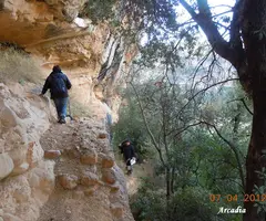Photograph of HEREU, COVA DE L' (1 of 5)