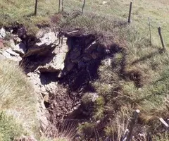 Fotografia de MIQUELET, FORAT DEL (1 de 9)