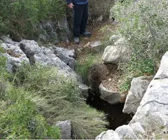 Fotografia de CARENA DE LES ALZINES, AVENC DE LA (2 de 7)