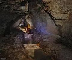 Photographie de SERRAT DEL VENT, COVA DEL (6 sur 20)