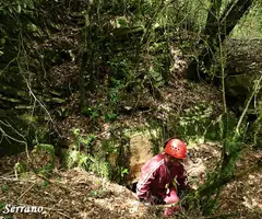 Fotografia de SALA, COVA DE LA (9 de 9)