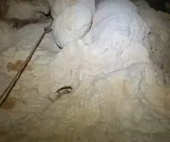 Fotografía de TORRENT DELS CORTILS, COVA DEL (5 de 6)