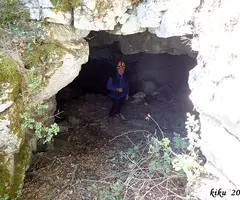 Photograph of GAT CENDRER, FORAT DEL (1 of 8)