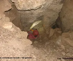Photographie de CARRADON, COVA DE (6 sur 9)
