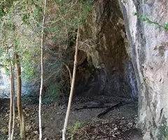 Photographie de ARGANY, COVA DE L' (4 sur 10)