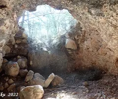 Fotografia de MASIA, COVA DE LA (4 de 4)