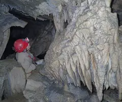 Fotografia de FALGARS, CAVORCA DE (4 de 9)