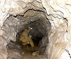 Fotografia de FONTSECA, COVA DE (4 de 4)
