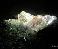 Fotografia de PI, COVA DEL (2 de 7)