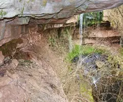 Photographie de MOLÍ DEL CINGLE, BALMA DEL (5 sur 5)