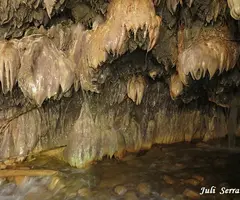 Photograph of BULÍ, COVA DE (7 of 12)