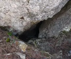 Photographie de GEL, POU DE (3 sur 3)