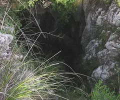 Fotografia de MUSSOLS, AVENC DELS (2 de 2)