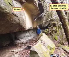 Photograph of FEIXA FONDA, COVA DE LA (3 of 4)