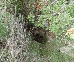 Fotografía de PERPALINA, AVENC DE LA (2 de 2)
