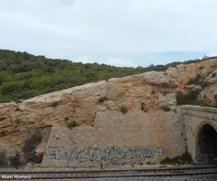 Fotografia de PUNTA GROSSA, COVA DE LA (1 de 7)