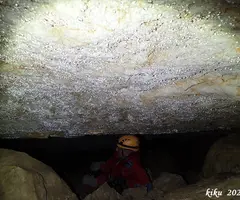 Fotografia de MATA, COVA D'EN (8 de 13)