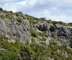 Fotografía de SEGARULLS, COVA DE (1 de 5)