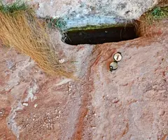 Fotografia de TITI, COVA Nº2 DEL (4 de 4)