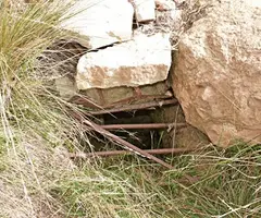Fotografía de PERERS, AVENC DE (2 de 2)