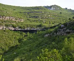 Fotografia de AVELLÀ, BALMA DE L' (1 de 4)
