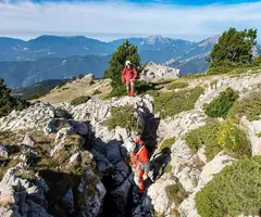 Photograph of ROCS DE CANELLS, GRALLER DELS (1 of 6)