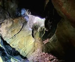 Fotografia de SASTRE, COVA DEL (2 de 4)