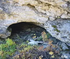 Fotografia de CATAU DE L'ÓS, COVES DEL (5 de 5)
