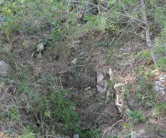 Photographie de HORTS DE LA PEDROSA, POU DELS (1 sur 2)