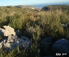 Fotografía de GUIXA, AVENC DE LA (1 de 3)