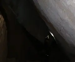 Fotografia de ARENY, COVA DE L' (5 de 6)