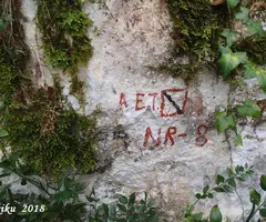 Fotografía de NR-8, AVENC (1 de 12)